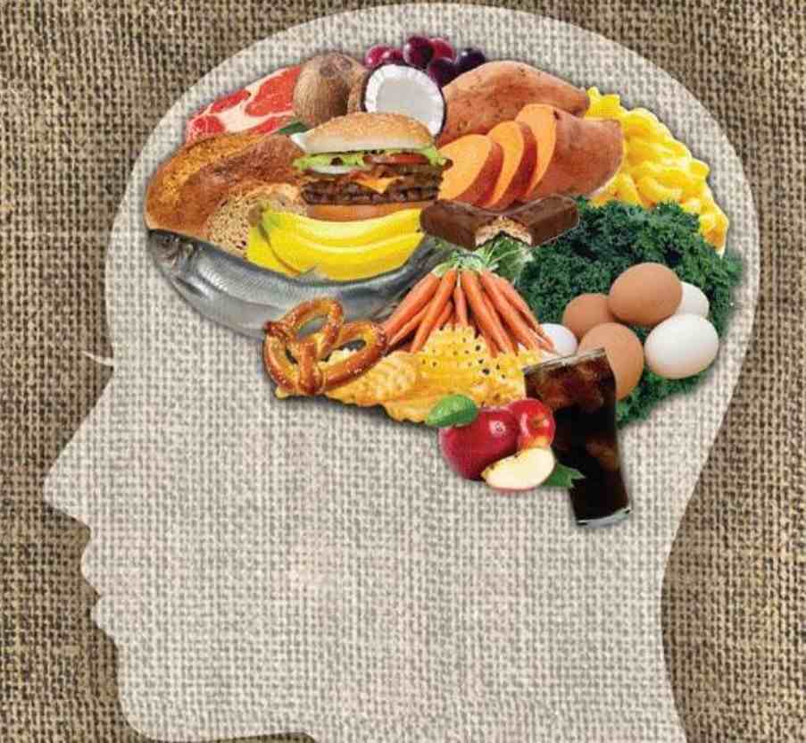تاثیر تغذیه مناسب بر تقویت حافظه و افزایش طول عمر-وبسایت دکتر زکوی